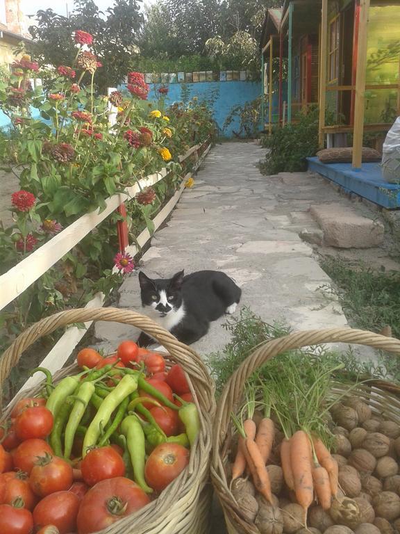 Garden Of Cappadocia Apartman Üçhisar Kültér fotó