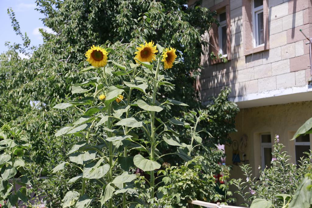 Garden Of Cappadocia Apartman Üçhisar Kültér fotó